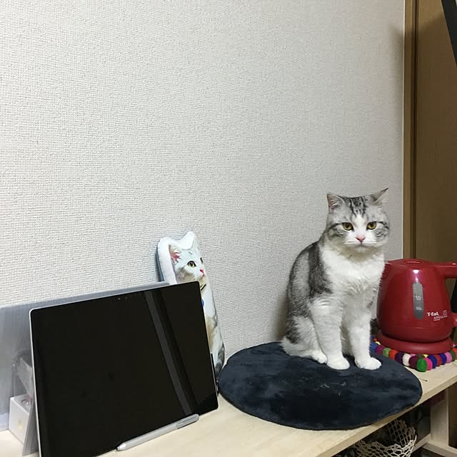 narashimhaさんの実例写真