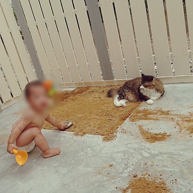 maenagiさんの実例写真