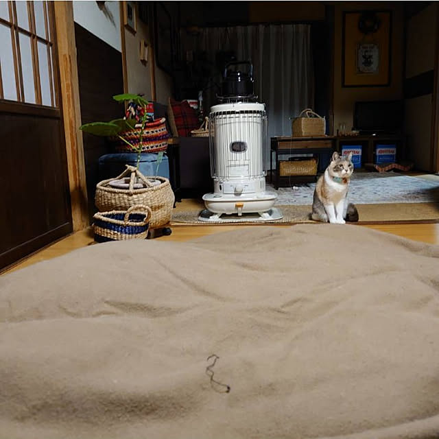 fukuさんの実例写真
