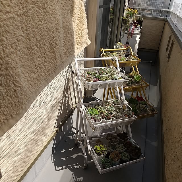 meiさんの実例写真