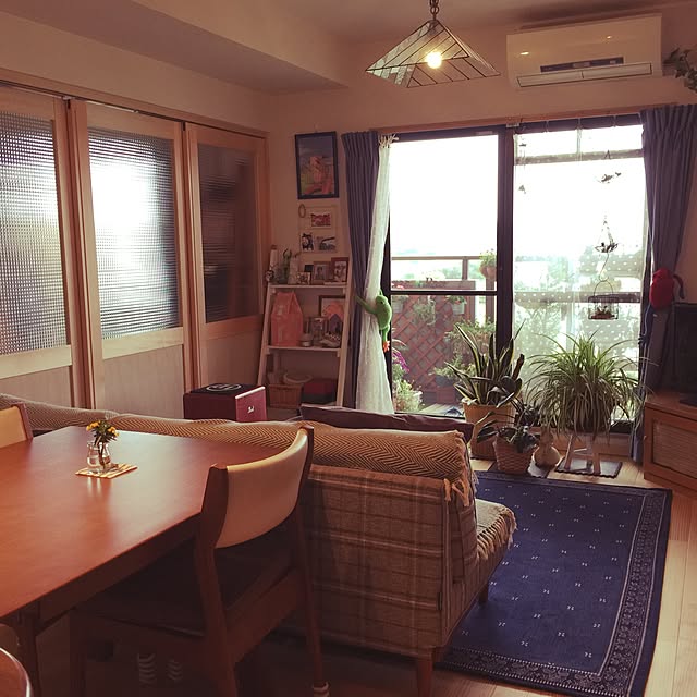 rasさんの実例写真