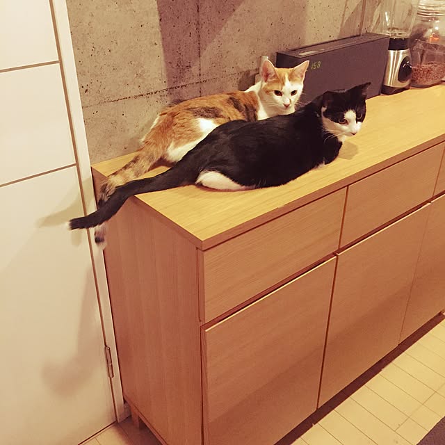 ziziguguさんの実例写真