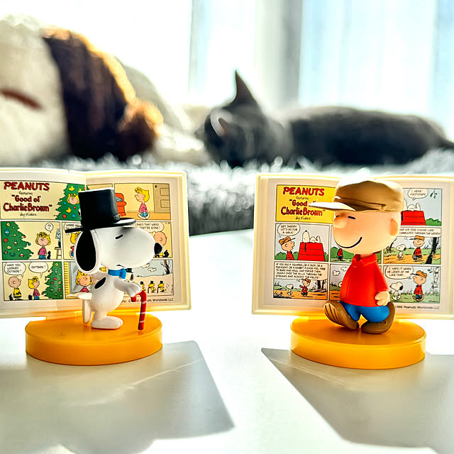 snoopyさんの実例写真