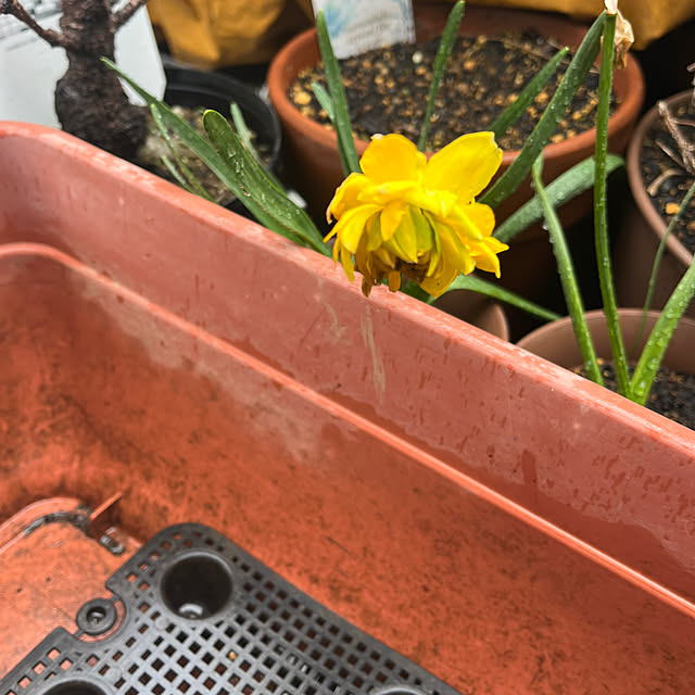 EMIKOさんの部屋