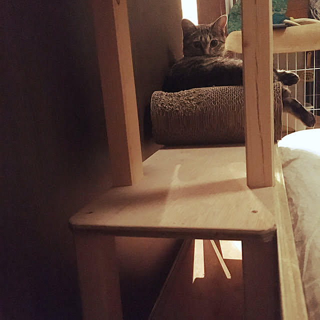 Mさんの実例写真