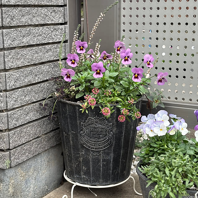 maayaさんの部屋