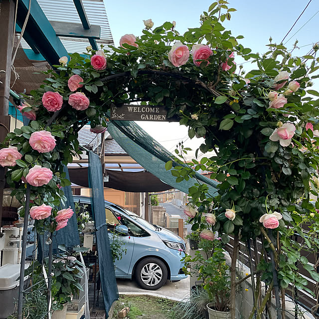 hanaさんの実例写真