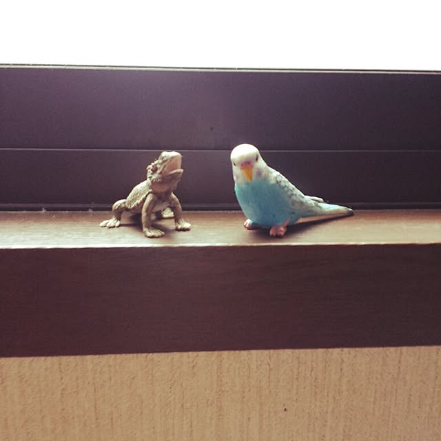Naomiさんの実例写真