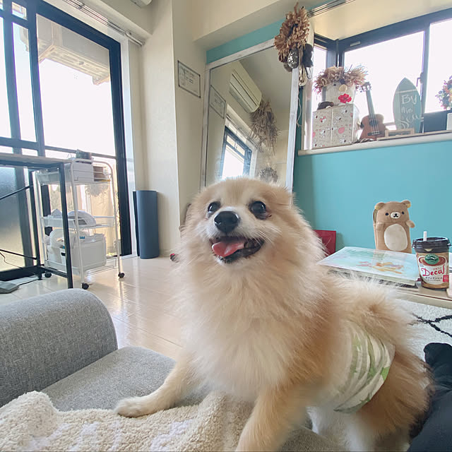 mimiさんの実例写真