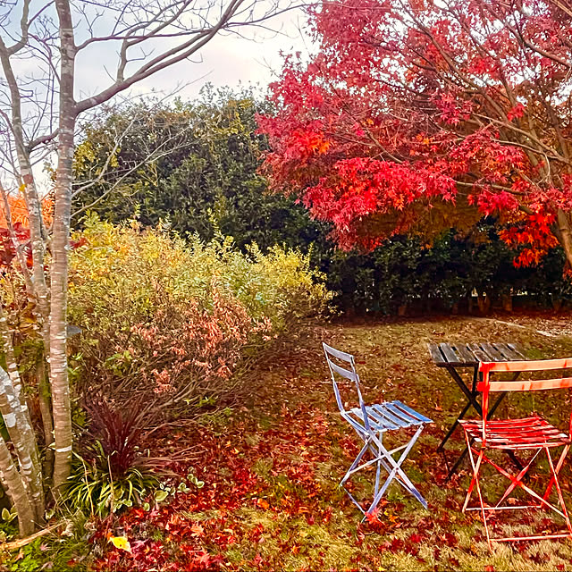 Erikoさんの部屋