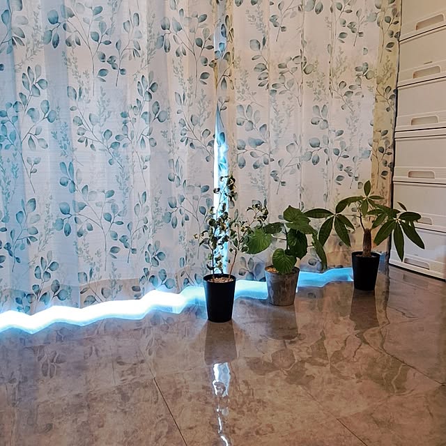 noaさんの部屋