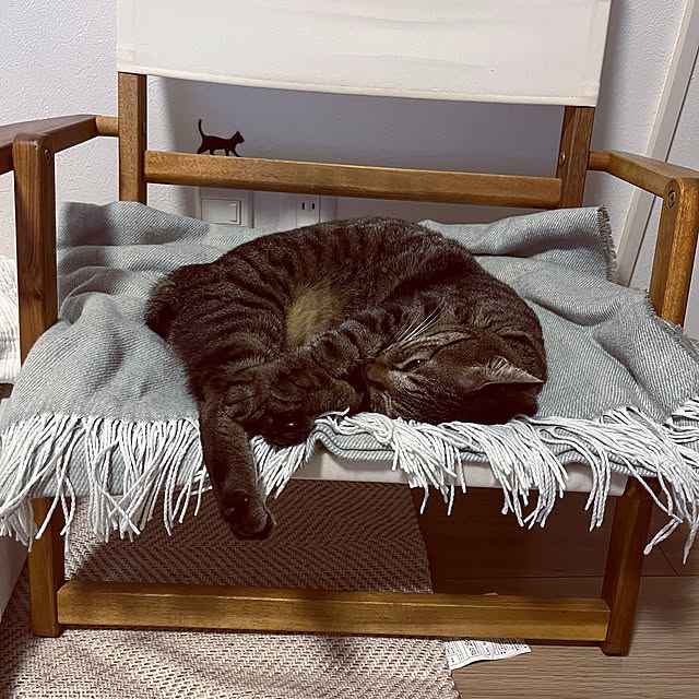 masamasaさんの部屋