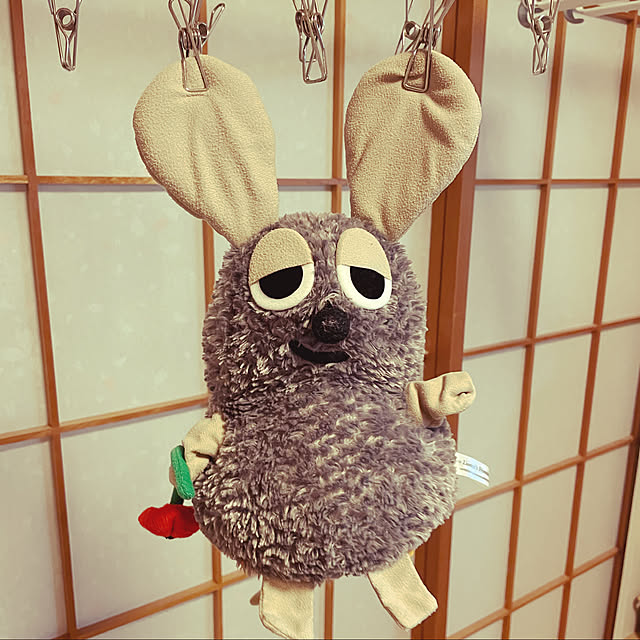 sucoriさんの実例写真