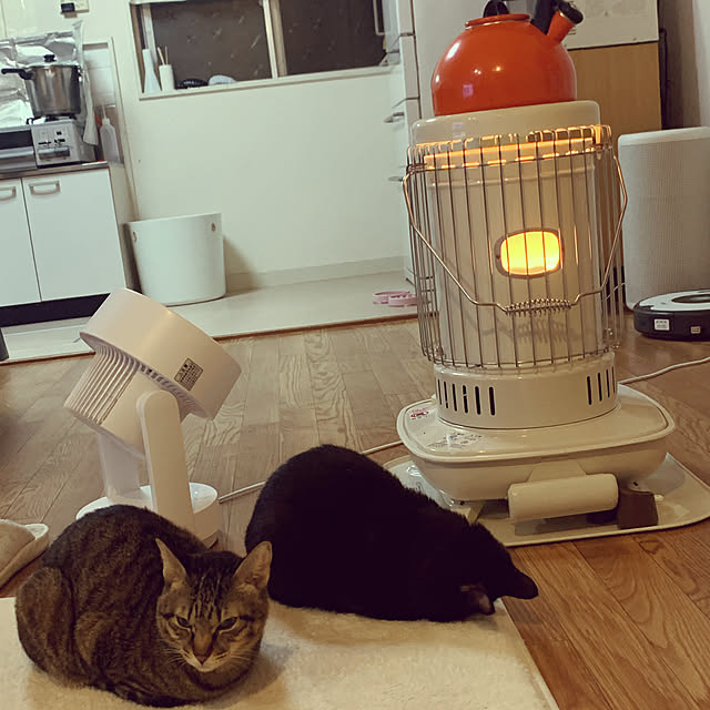 Tomonaさんの実例写真