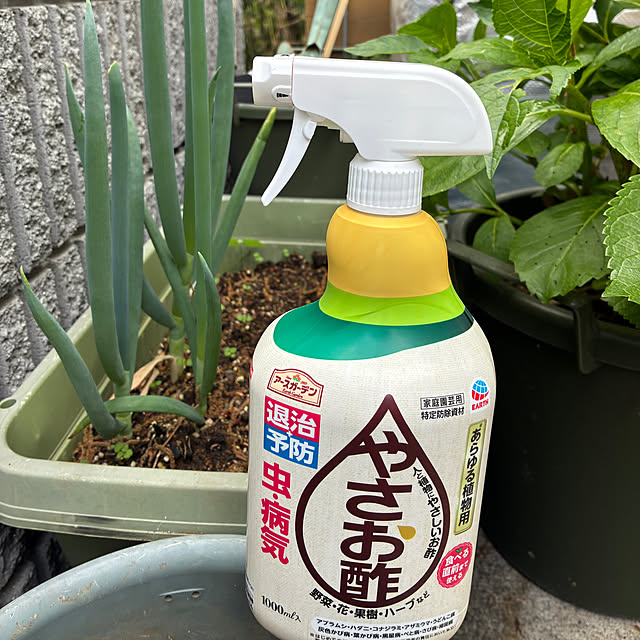 mirutanさんの部屋