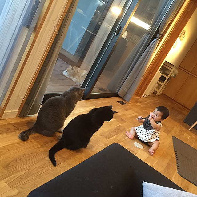 実例写真