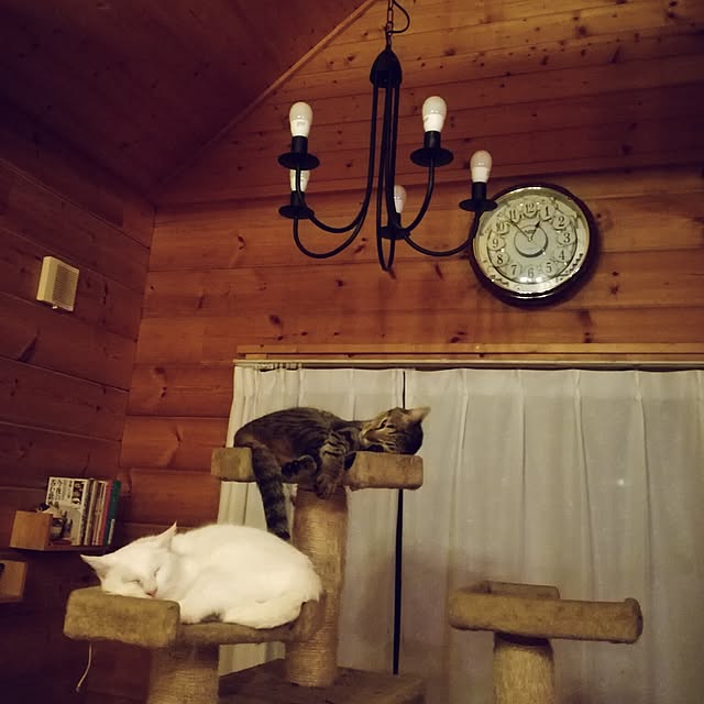 Maki-nekomamireさんの実例写真