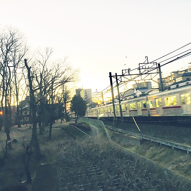 実例写真