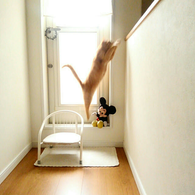 mayutan.さんの実例写真