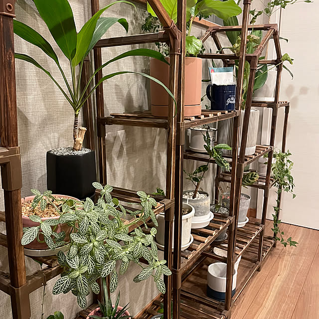 ikuzakさんの部屋