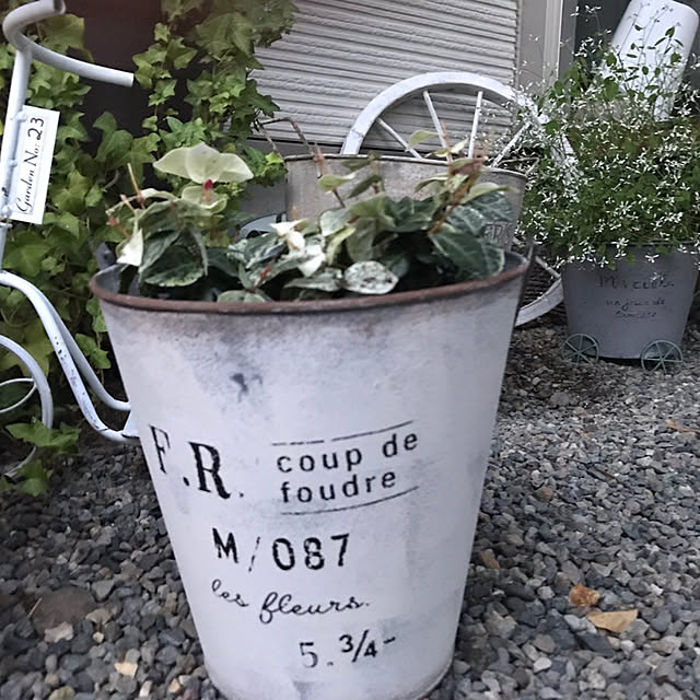 実例写真
