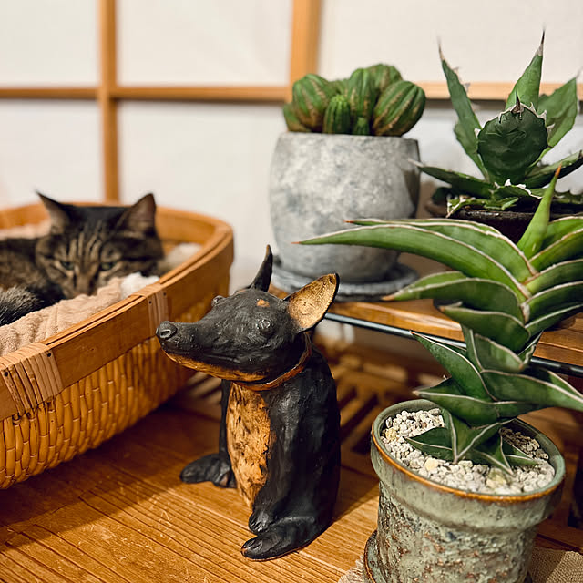 onsix777さんの部屋