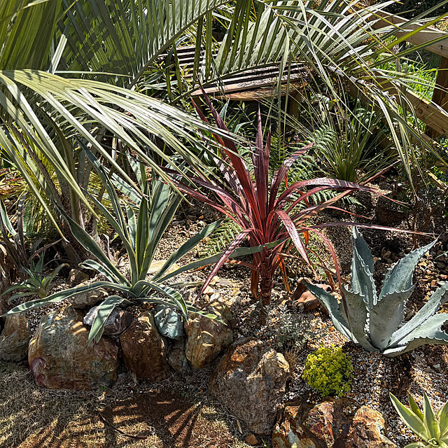 bonber0212さんの実例写真