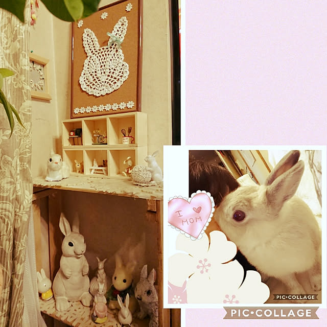 yokomokoさんの実例写真