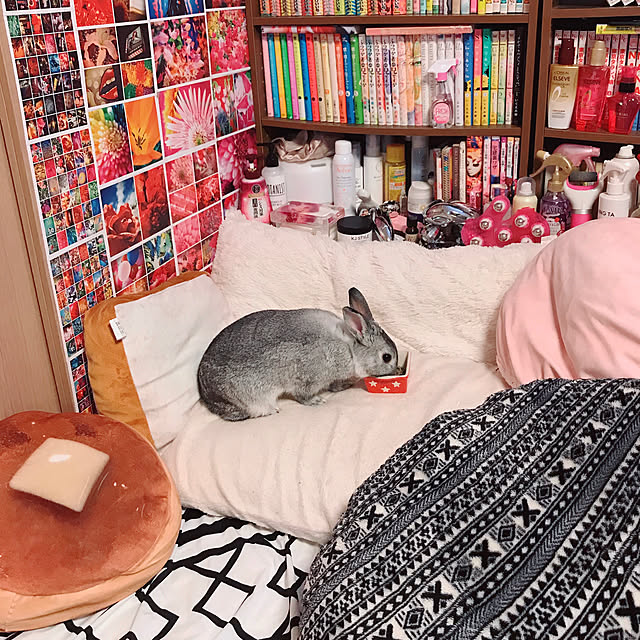 0shucream45xxさんの実例写真