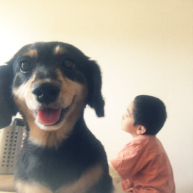 ohanaさんの実例写真