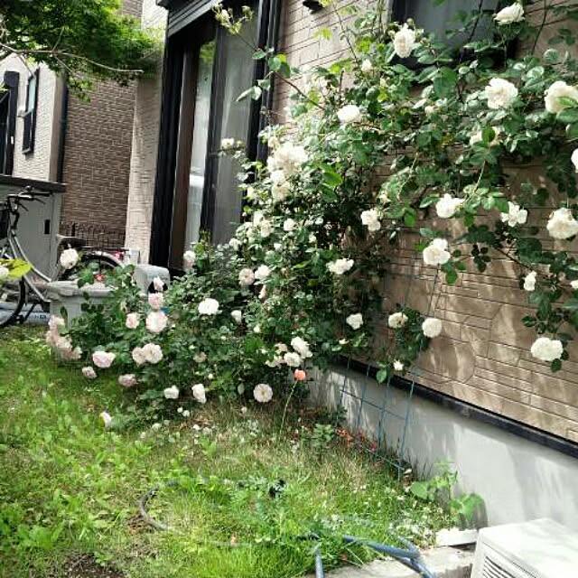 hiromi_coco3422さんの実例写真