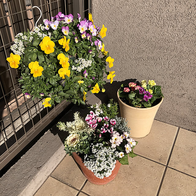 maririさんの実例写真