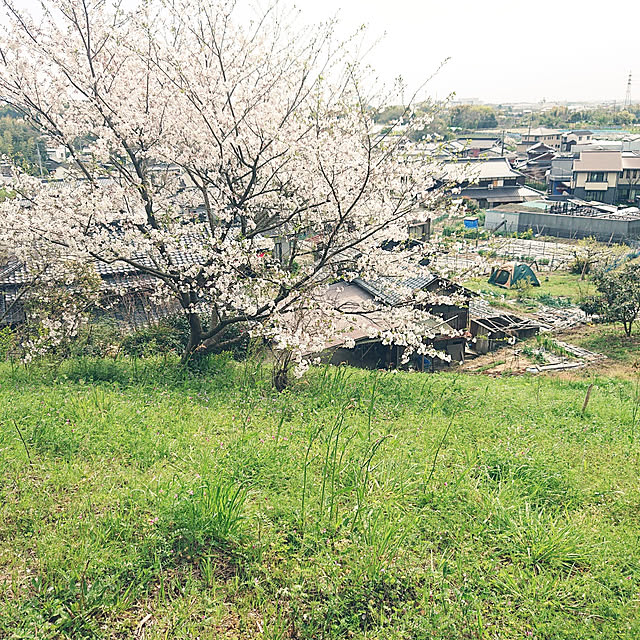 koppeさんの実例写真