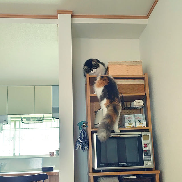 +CHIHARU+さんの実例写真