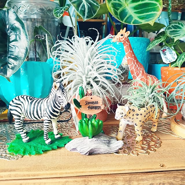 nacchanさんの実例写真