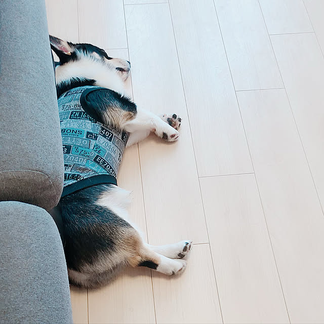 Ruiさんの実例写真