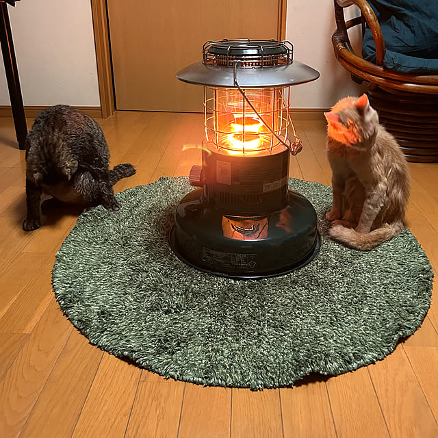 mikan161さんの実例写真