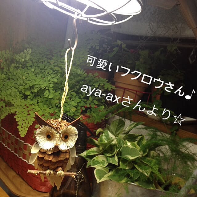 lovelinさんの実例写真