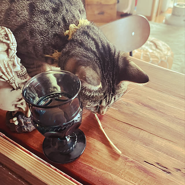Mさんの実例写真