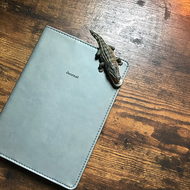 riakanaさんの実例写真