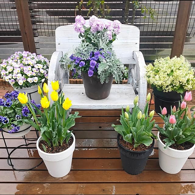 ryomomさんの部屋