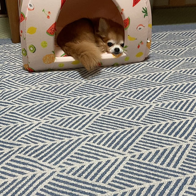 koroさんの部屋