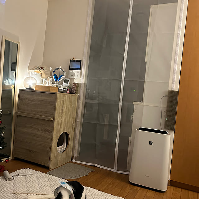 punさんの部屋