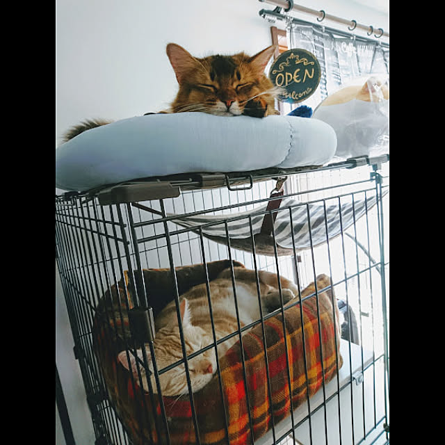 malmさんの実例写真