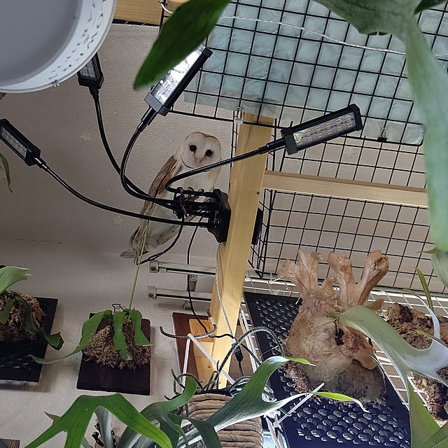 mikiさんの実例写真