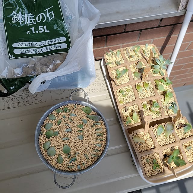 akimameさんの部屋