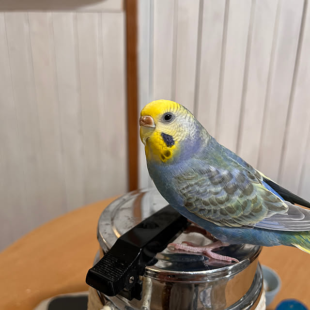 Atsukoさんの部屋