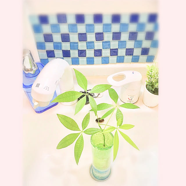 hatsu.0202さんの実例写真
