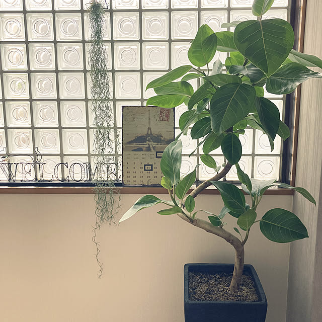 katatsumuriさんの実例写真