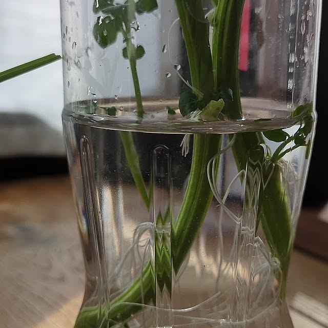 ramuramuさんの部屋